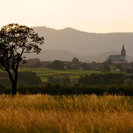 Marcel Et Marianne Jardin Et Parking Privatifs Dom wakacyjny Ebersheim