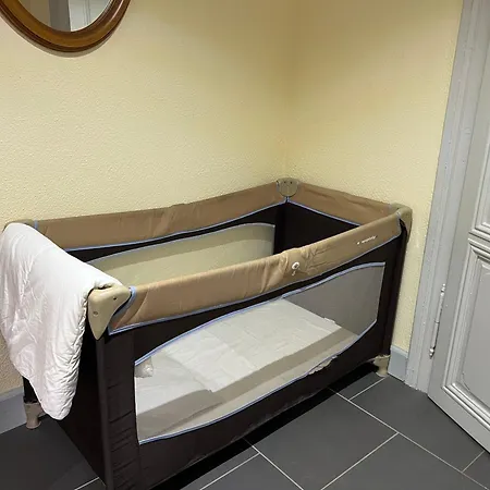 Marcel Et Marianne Jardin Et Parking Privatifs Ebersheim