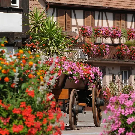 Marcel Et Marianne Jardin Et Parking Privatifs *