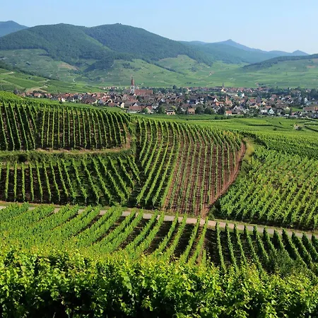 Marcel Et Marianne Jardin Et Parking Privatifs *