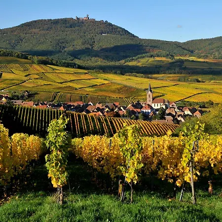 Chez Marianne Et Marcel Hébergement de vacances Ebersheim